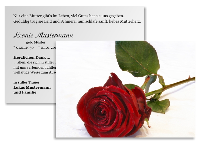Weiße und rote Rosen. Danksagungen Trauer nach Beerdigung, Todesfall und im Trauerfall