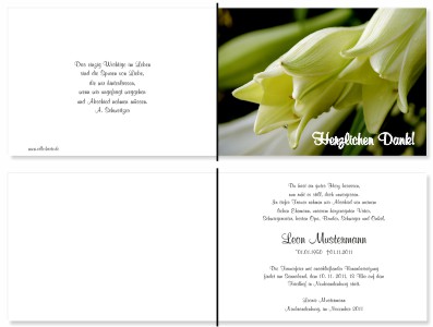 Lilie, Calla, Sonnenblume. Persönliche Trauerdankeskarten nach Trauerfall, Beerdigung und Todesfall